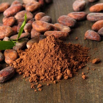 Cacaopoeder 400 Gram