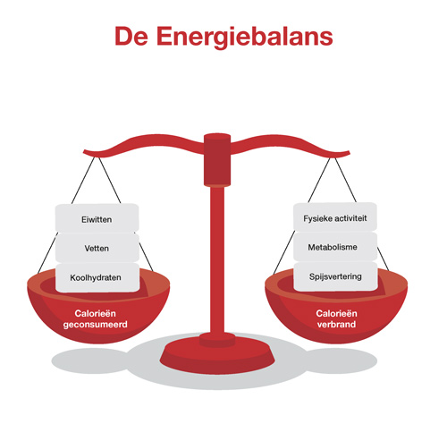 energiebalans energieconsumptie en energieverbruik